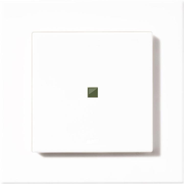 HomeMatic Hm-Pb-2-Wm55-2