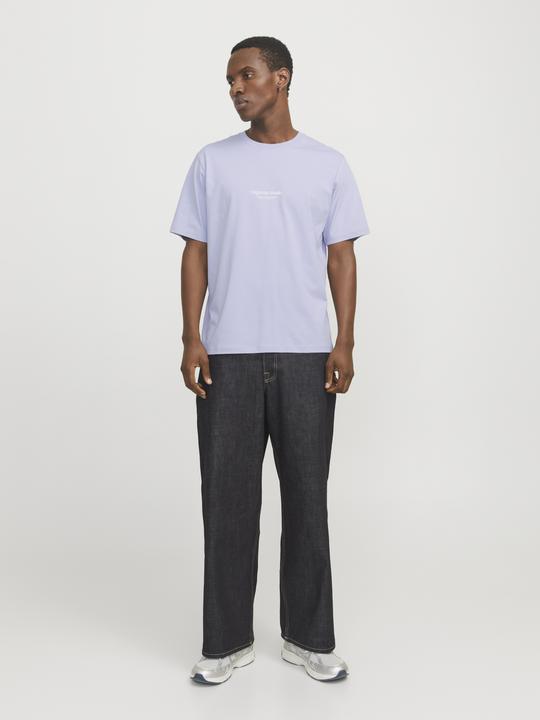 Immagine prodotto Jack & Jones Jorvesterbro Tee Ss Crew Neck Noos (XXL)