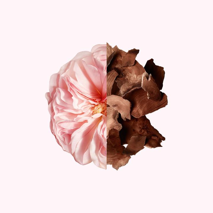 Actual product image Givenchy Irresistible (Spray, 100 ml)