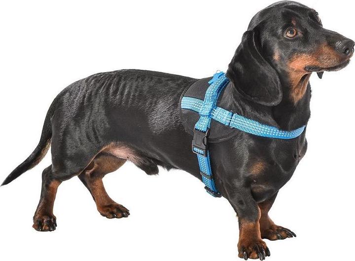 Image du produit Bobby harnais pour chien easy safe (S, M, L, XL, Chien, Sport canin)