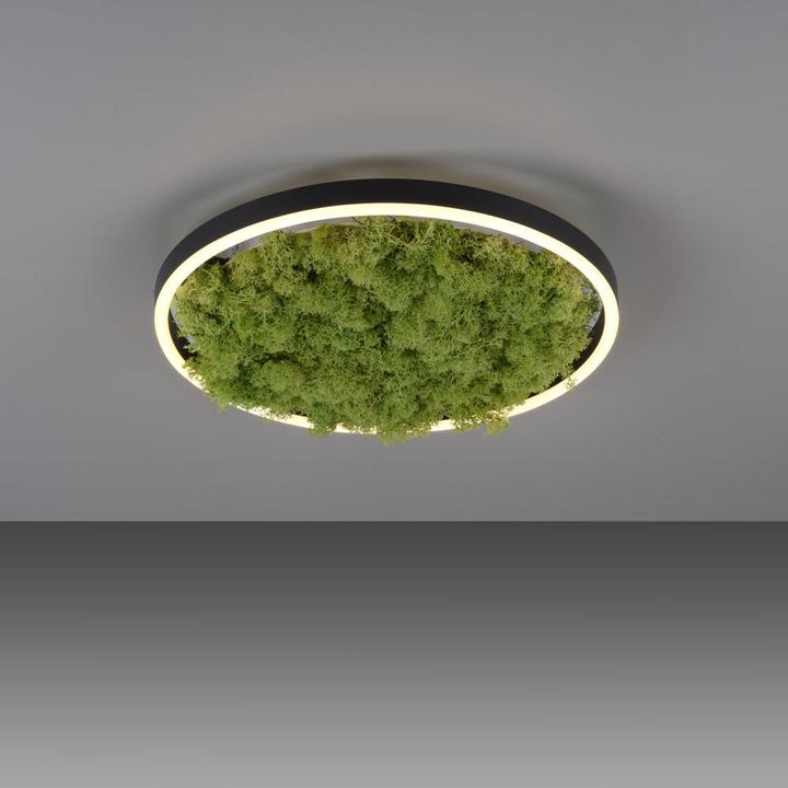 Produktbild Leuchten Direkt Green Ritus (2650 lm)