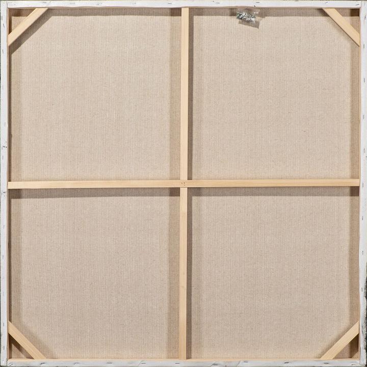 Immagine prodotto Schubiger Immagini di bellezza con un pappagallo (100 x 100 cm)