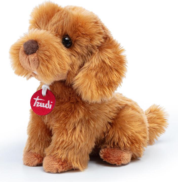 Immagine prodotto Trudi Barboncino Toy Oliver (Cane di peluche)