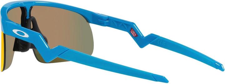 Produktbild Oakley Resistor (Blau, prizm ruby)