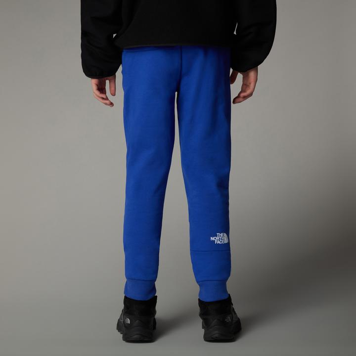 Actual product image North Face Joggers (M)