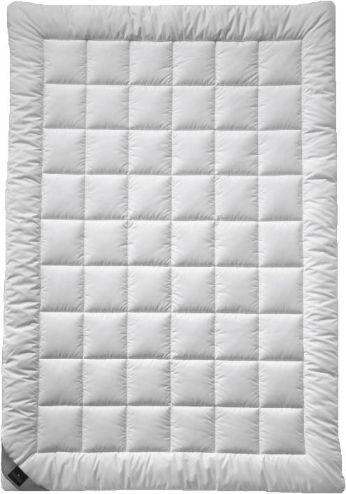Image du produit Billerbeck Master class Light (740 g, 160 x 210 cm)