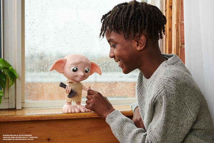 Produktbild Spin Master Harry Potter Interactive Dobby