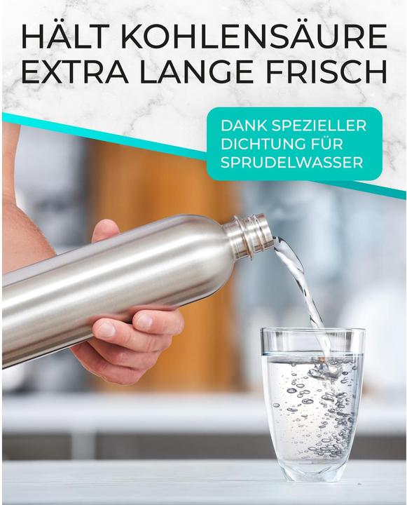 Produktbild SodaBär Mate of Steel Isolierflasche Dory für SodaStream