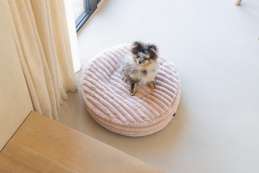 Actual product image Designed by Lotte Reza reclining cushion (Dog)
