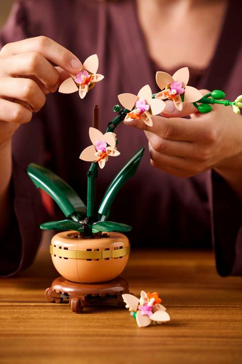 Image du produit LEGO Mini-Orchidee (10343, LEGO Botanical)