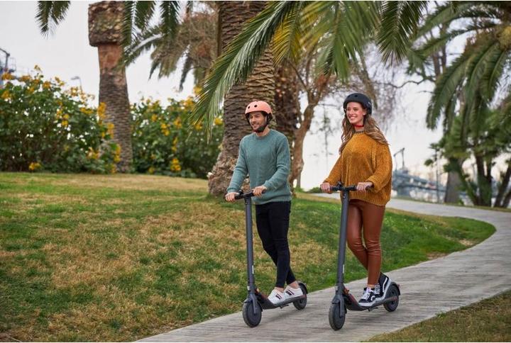 Produktbild Segway-Ninebot Kick Scooter E22E (20 km/h, 22 km, 300 W)