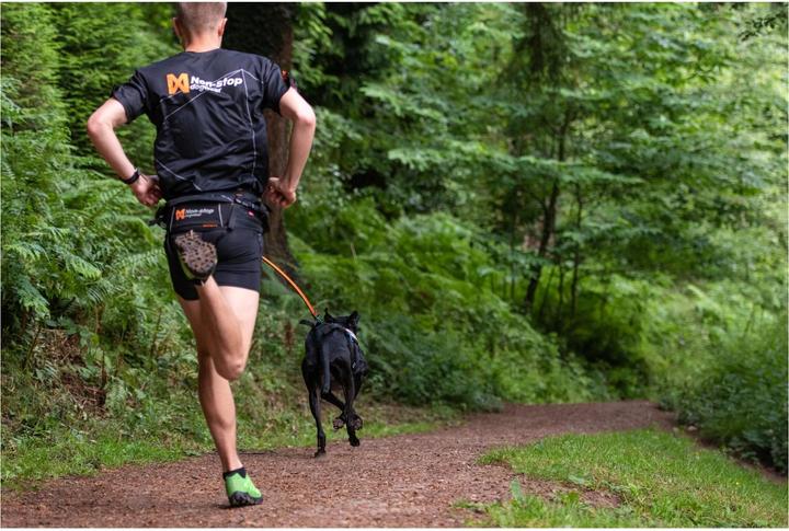 Produktbild Non-Stop Dogwear Bungee (M, Hund, Jogging)