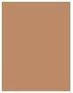 Produktbild Rimmel London Kind & Free Glow It Up Moisturising Skin Tint (210 Golden Beige)