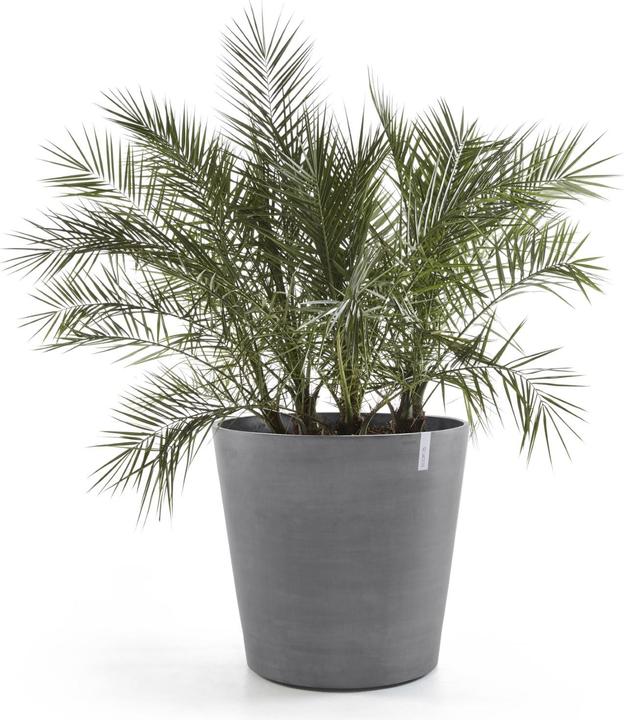 Actual product image Ecopots Amsterdam Wheels