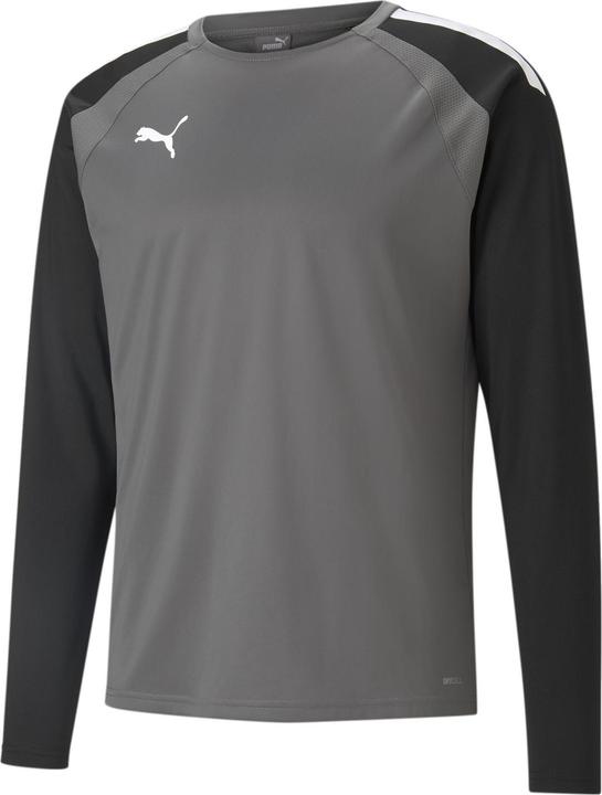 Produktbild Puma TeamLIGA Trainingssweat Herren (3XL)