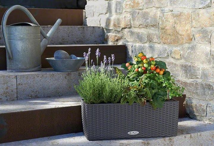 Image du produit Lechuza Chalet Balconera (19 cm)