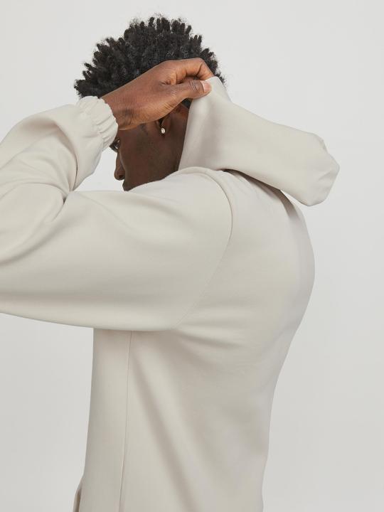 Image du produit Jack & Jones Jcoaltitude Sweat Hood Sn (S)