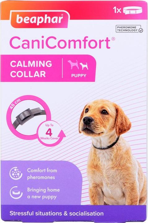 Immagine prodotto beaphar Collare con feromoni per cuccioli - 45 cm (Cane, Generale)