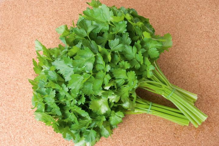 Image du produit Living Seeds Petersilie, einfache Schnitt 3 (Germes)