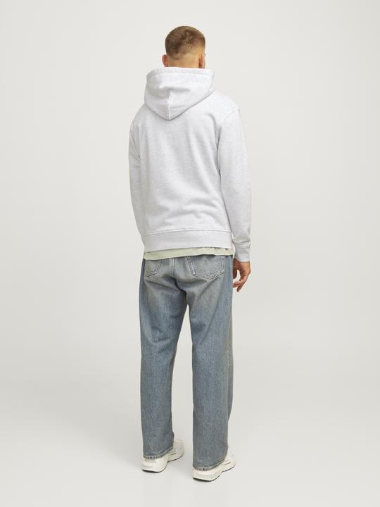 Immagine prodotto Jack & Jones Jorportland Block Sweat Hood Ln (M)