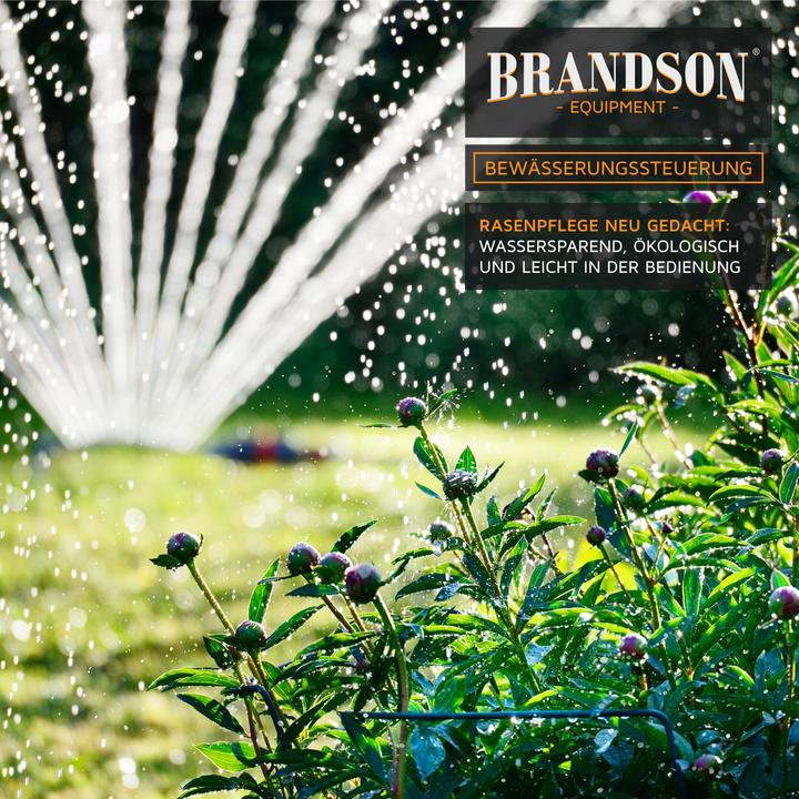 Image du produit Brandson Contrôle de l'irrigation, ordinateur d'irrigation électrique, minuterie, adaptateur 1/2" et (Ordinateur d'irrigation)
