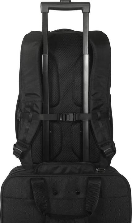 Actual product image Targus Notebook backpack 15-16 "TBB65 black,Work+,38,10cm-40,64cm (23 l)