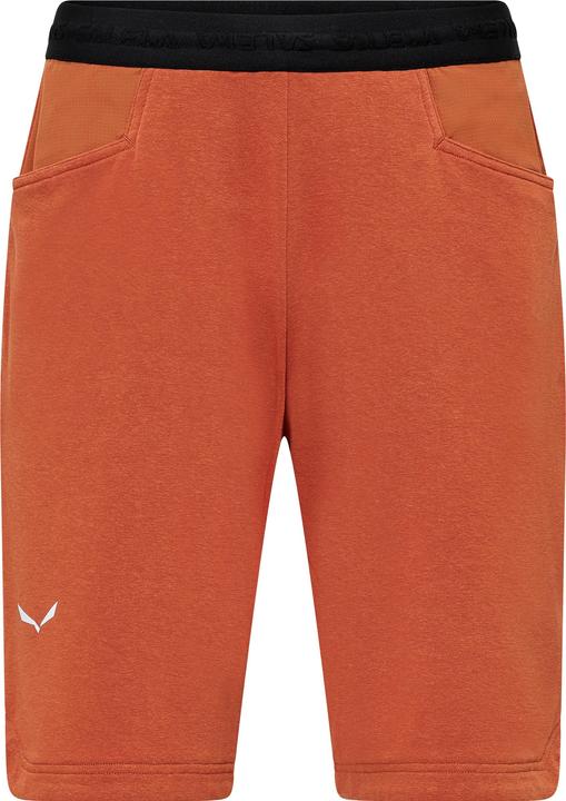 Actual product image Salewa Agner Hemp Shorts M (46)