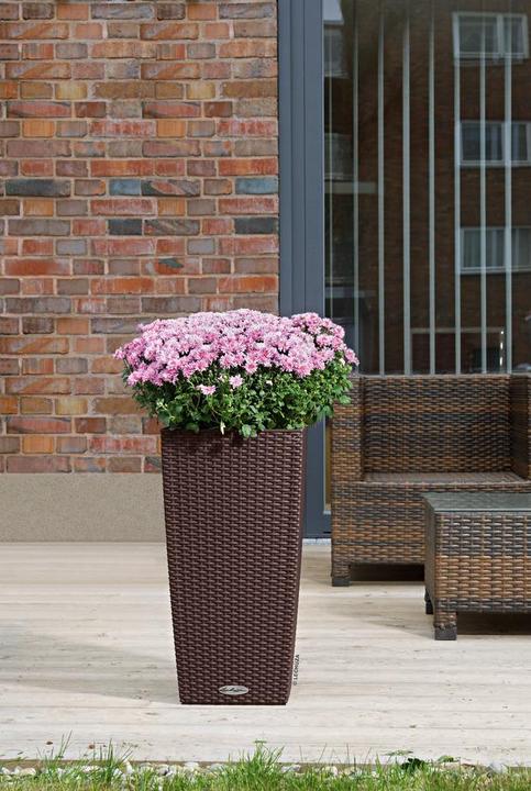 Actual product image Lechuza Flowerpot Cubico Cottage 40 (40 cm)