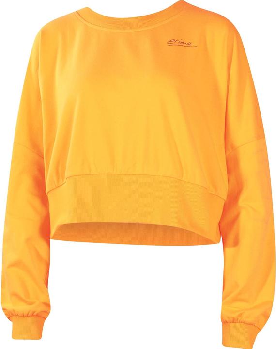 Mango Sorbet