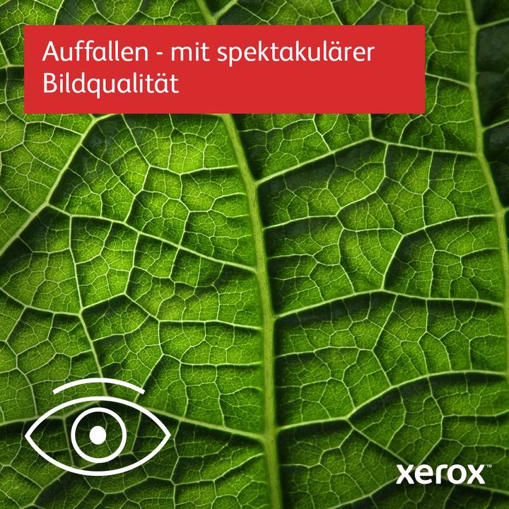 Actual product image Xerox VersaLink C415DN (Laser, Colour)