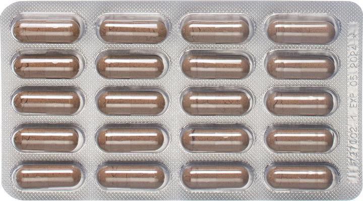 Produktbild Padma Digestin (60 Stück, Kapseln, 59 g)