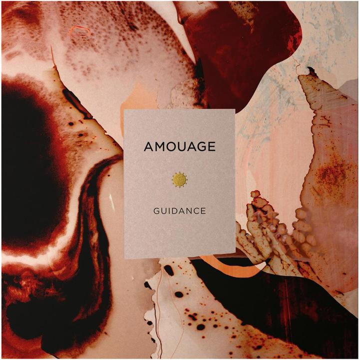 Immagine prodotto Amouage Guidance (Eau de parfum, 100 ml)