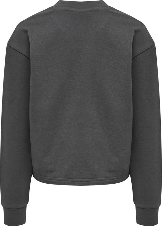 Image du produit hummel Sweat-Shirt Cinco (104)