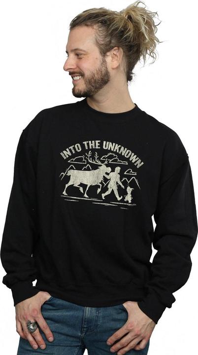 Produktbild Disney Frozen 2 Into The Unknown Sweatshirt (XL)