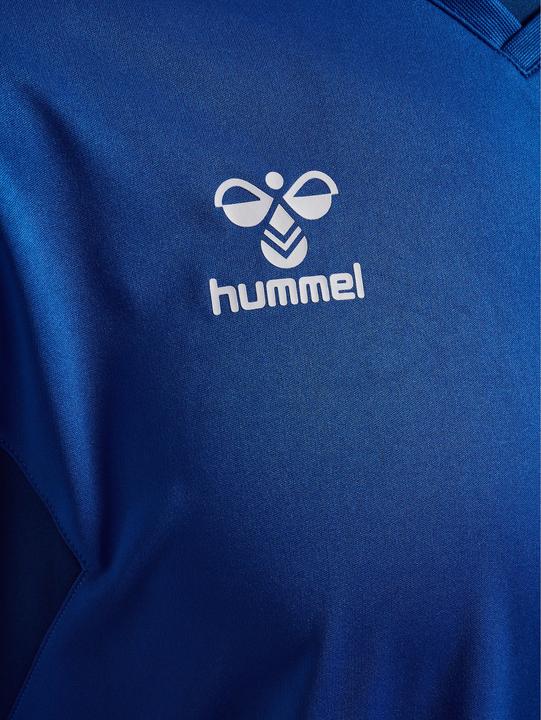 Actual product image hummel Hmlauthentic Pl Jersey L/S (L)