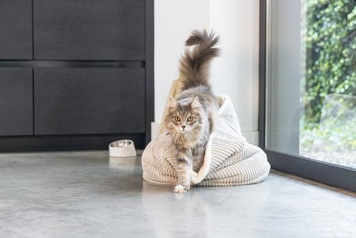 Image du produit Designed by Lotte Panier pour chats Ribbed (Chat)