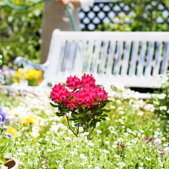 Image du produit Relaxdays 6x tiges de plantes (6 cm, 6 cm)