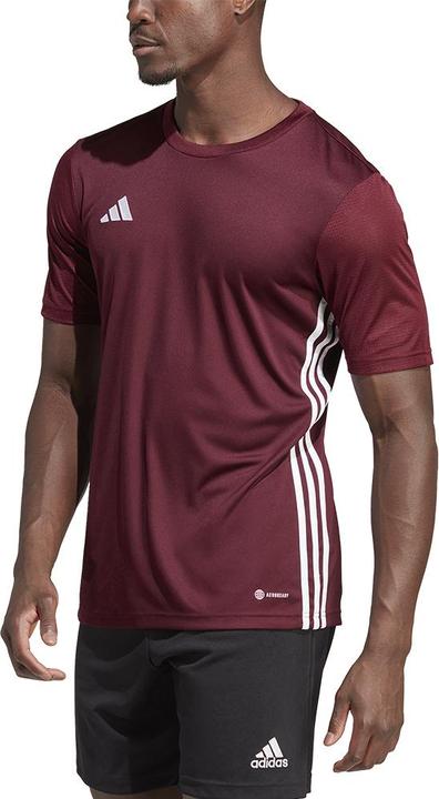 Produktbild adidas Herren Tabelle 23 Trikot Burgund IB4928 (S) (S)