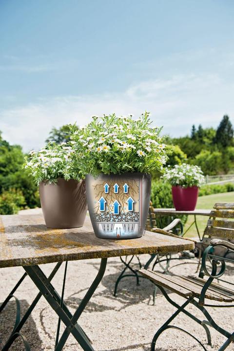 Image du produit Lechuza Classico Color (27.50 cm)