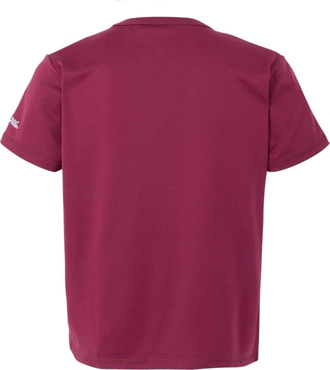 Produktbild Regatta Alvarado IX TShirt (128)