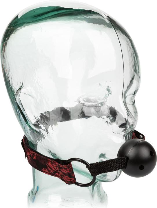 Image du produit CalExotics Bâillon balle respirant avec menottes