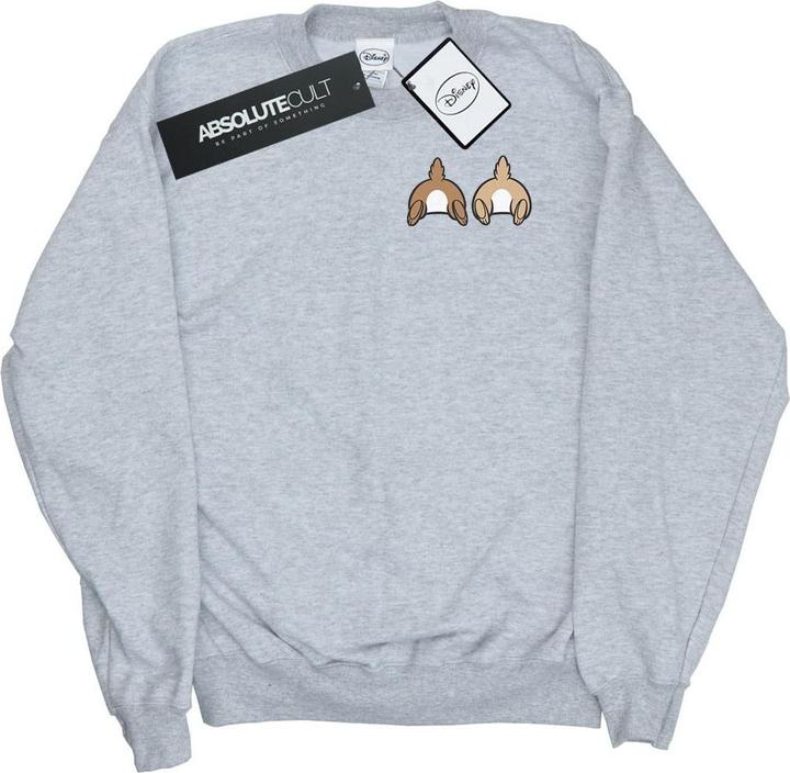 Image du produit Disney - Sweat CHIP N DALE BACKSIDE BREAST PRINT - Garçon (140, 146)