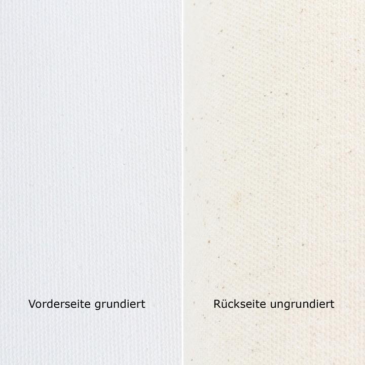 Image du produit Paintersisters Rouleau de toile (100 x 100 cm)