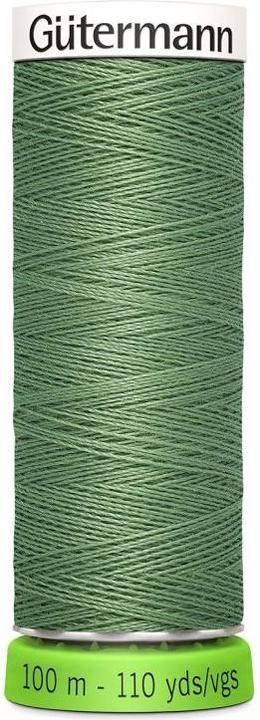 vert Col. 0821