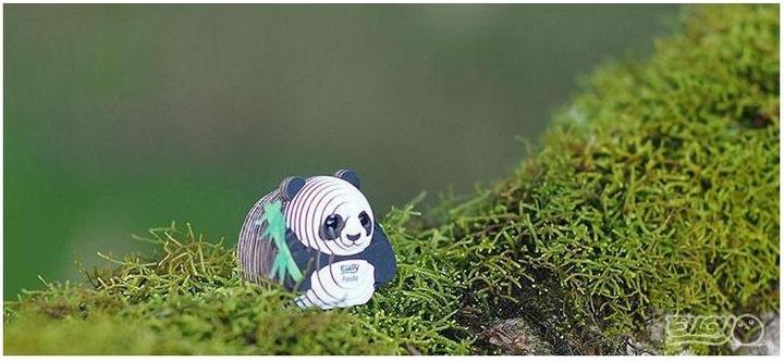 Image du produit Eugy Panda