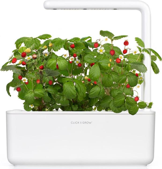 Produktbild Click and Grow Smart Garden (31.50 cm)