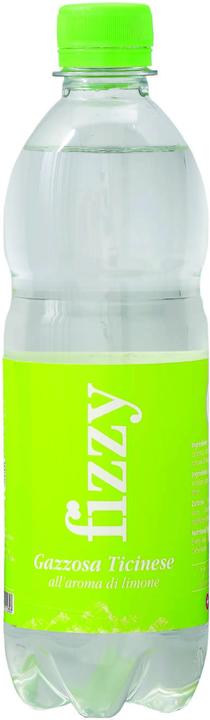 Actual product image Fizzy Gazzosa ticinese (1 x 50 cl)