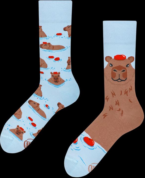 Many Mornings Capybara (Einzelpack, 39 - 42)