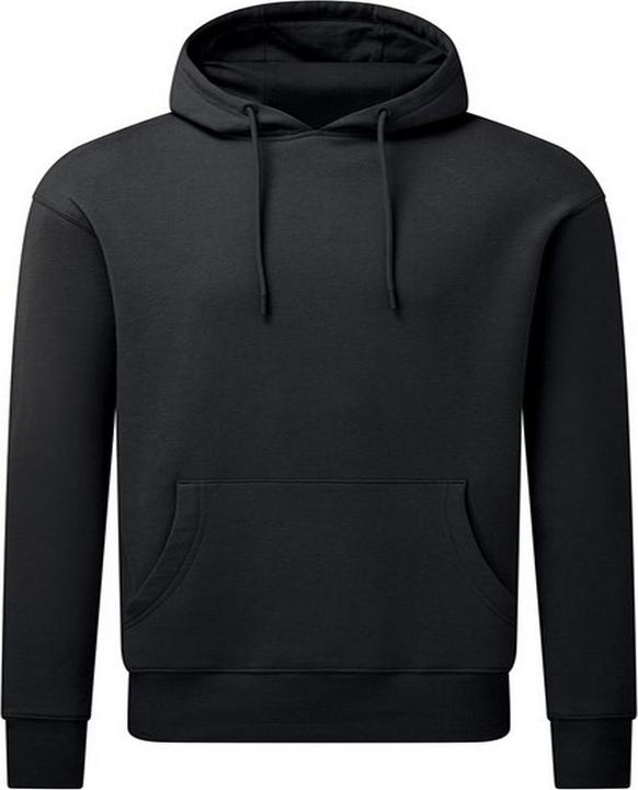 Image du produit Anthem - Sweat à capuche - Adulte (S)
