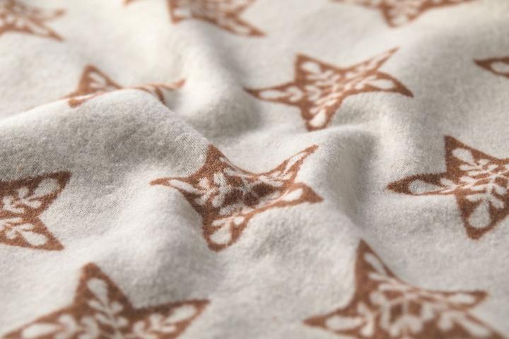 Actual product image David Fussenegger Flannel blanket stars.46256040